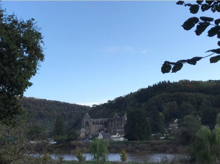 Woodmill Farm Cottage Alvington エクステリア 写真