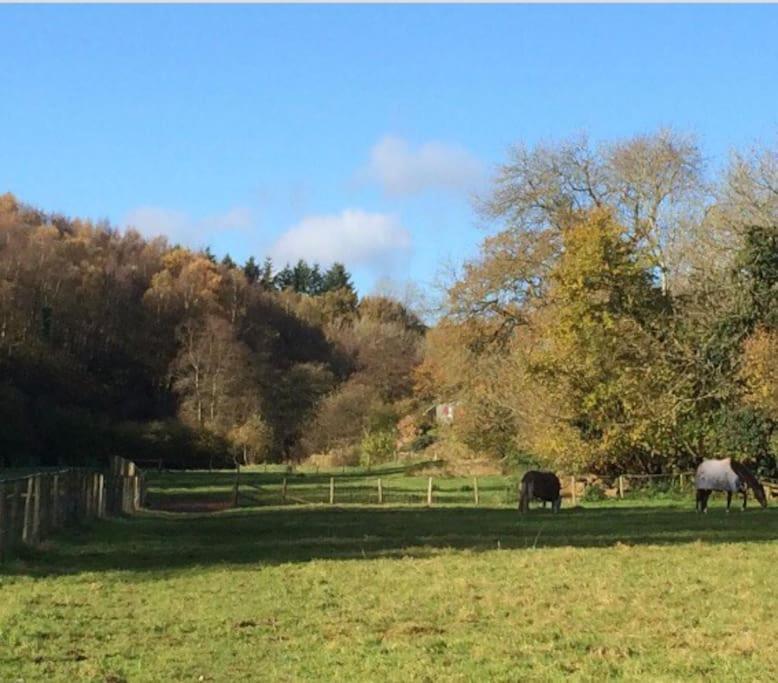 Woodmill Farm Cottage Alvington エクステリア 写真