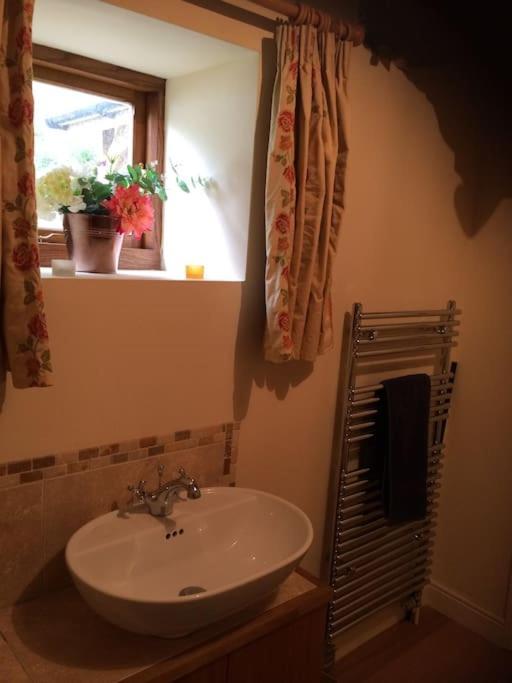 Woodmill Farm Cottage Alvington エクステリア 写真