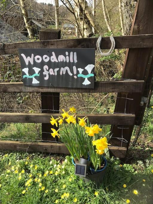 Woodmill Farm Cottage Alvington エクステリア 写真